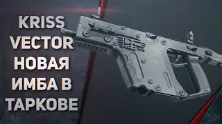 KRISS Vector ИМБА ЛЮТАЯ - ТАРКОВ РЕЙД ОДИНОКИЙ ЧВК #5 - Escape from Tarkov