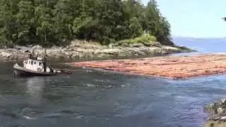 little tug and big log boom dodd narrows bc