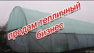 ПРОДАМ ТЕПЛИЧНЫЙ БИЗНЕС