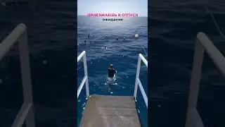 Шортс  смешной - а ситуация страшная.