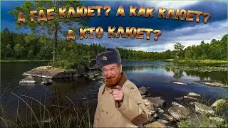РУССКАЯ РЫБАЛКА 4 РР4  🔴 АХТУБА  СОМ 🎣 РАНО УТРОМ С ПОЗАРАНКУ • ПЕТРОВИЧ ПРЁТСЯ НА РЫБАЛКУ ЕСТЬ ТРОФ