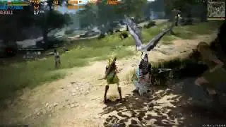 RTX 2080ti | Black Desert Online | max graphic 4K