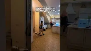 Вот он с…ка #юмор #топ #прикол