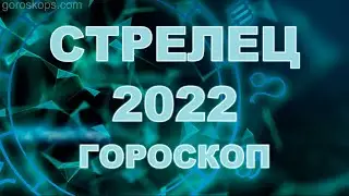 Гороскоп на 2022 год Стрелец ✨ Астрологический прогноз на год Тигра 2022 для Стрельца