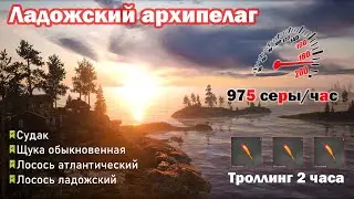 Ладожский архипелаг • Русская Рыбалка 4 • Лосось • Щука • Судак