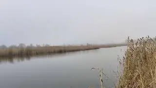 Алкоголизм точка невозврата. Можно ли пить алкоголь безопасно?