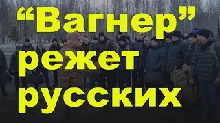 Убийцы вернулись домой