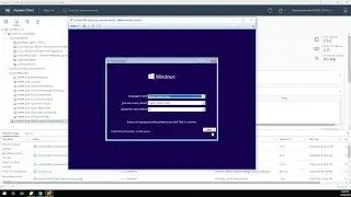 How to pass through Intel Optane 900P NVMe as Win 10 1809 VM's C: drive, using VMware ESXi 6.7U1