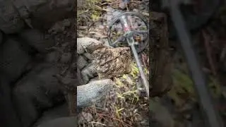 #ИСКАТЬ
