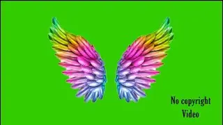 Colourful angel wings flapping on green screen background no copyright