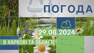 Прогноз погоди в Харкові та Харківській області на 29 серпня