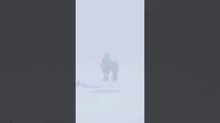 Погода в Яр Сале 13 мая 2024 год