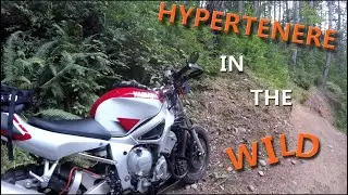 99 Yamaha R6 Adventure Bike Build First Ride [Project HyperTenere Ep 30]