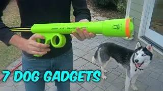 7 Dog Gadgets Put to the Test