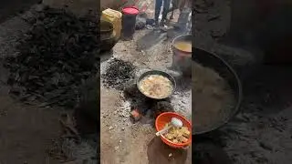Would you eat this as your main source of food?