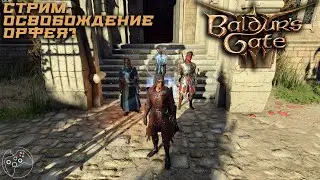 Baldur's Gate III STREAM 28.07.2024. Освобождение Орфея?
