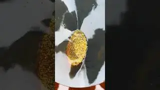 Нашел золотой рудник 💰🫣