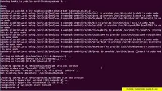 How To install Apache Tomcat on Ubuntu 16 Linux