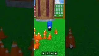 ADMIN Fruit in Blox Fruits!
