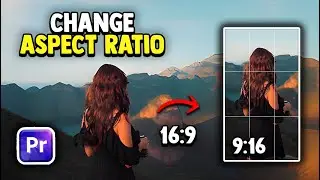 How to Change Aspect Ratio in Premiere Pro (2 Ways)