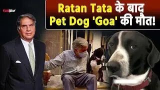 Ratan Tata's Pet Dog Goa Passes Away: रतन टाटा के बाद उनके पालतू डॉग की मौत? मुंबई पुलिस ने बताया सच