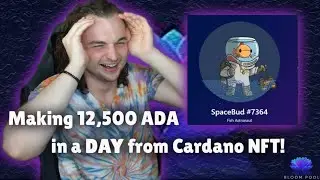 Here's how I made 12,500 ADA in a day from Cardano NFTs | Cardano AMA