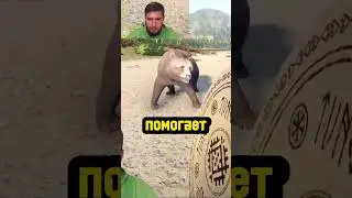 😵КАК ВЫЖИТЬ В СХВАТКЕ С МЕДВЕДЕМ😰 #русскаярыбалка4 #рр4 #рр4фарм #russianfishing4