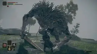 Elden Ring PS4 (Blind) | Gameplay Part 2 | No Commentary