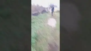 выживание с @catblits