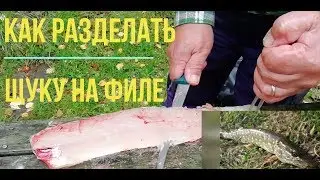 Татьяна. Как правильно разделать щуку на филе. Быстро и легко. ч.2