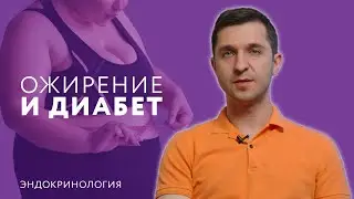 Ожирение и эндокринология // Ожирение и диабет // Как ожирение влияет на здоровье? 