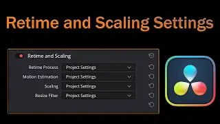 Retime and Scaling All Modes Explanation & Comparison - DaVinci Resolve