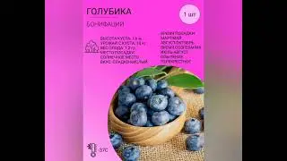30 августа 2024 г.                                   ●   ГОЛУБИКА  ОЧЕНЬ  ПОЛЕЗНАЯ  ЯГОДА.   PAI-54.