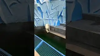 Белее не будет!