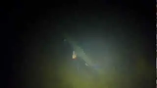 Рыба под водой