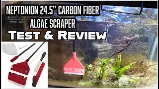 NEPTONION Carbon Fiber Algae Scraper Test & Review with 10 Pcs Replaceable Blades