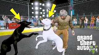 BEYAZ PİTBULL JACK EĞİTİMLİ DOBERMAN İLE KAFES DÖVÜŞÜ YAPIYOR! - GTA 5