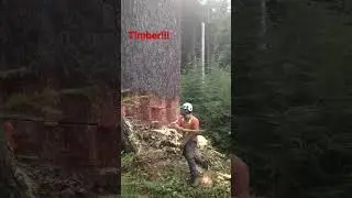 As big as they come for me Power line maintenance read description longer edit! 