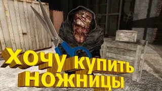 хочу купить ножницы!смешные моменты сталкер GUNSLINGER Mod!