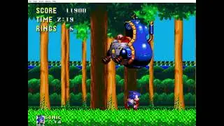 Sonic 3C Delta hack v2.08 Mushroom Hill Act 2 Boss