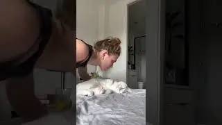 Sneaky Kisses While Your Cats Are Sleeping 😽❤️ #Cute #Cats #Viral