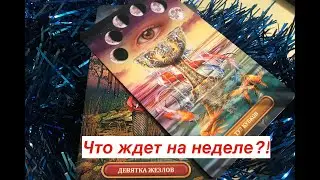 Таро онлайн. Какая неделя нас ждет?! Какие события?!Подсказки, советы. Гадание онлайн)