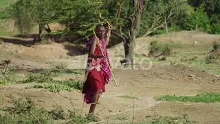 Maasai man throwing a rungu | Stock Footage - Envato elements