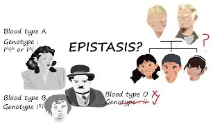 Predicting offspring phenotypes is complicated by epistasis