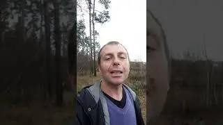 22 октября Яков древопилец