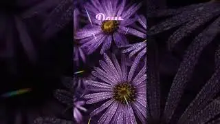 Доброе Утро !!!