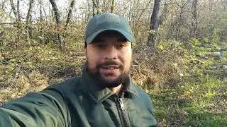 Как остановить рак на 4 стадии