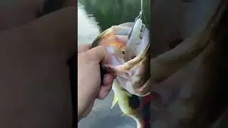 what do you call this?