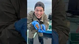 Let’s get some shrimp for @NickDiGiovanni 🦐
