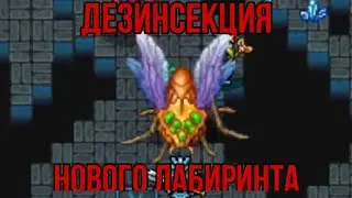Как фармить Цикаду в Новом Лабиринте за разбойника в Warspear Online ?